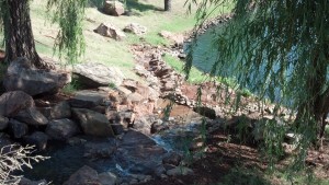 WilsonFalls_3