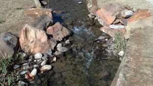 WilsonFalls_8